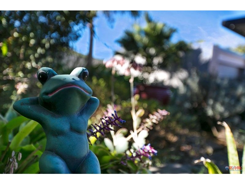 137 Ziegenfusz Road, Thornlands QLD 4164