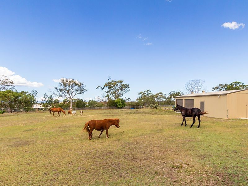 22 Trundle Rd, Thornlands QLD 4164