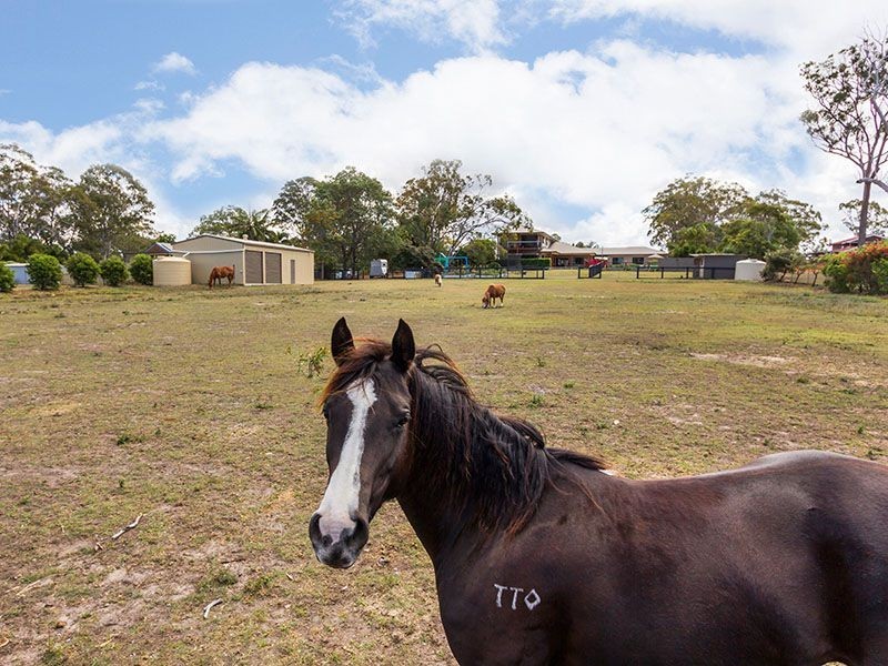 22 Trundle Rd, Thornlands QLD 4164