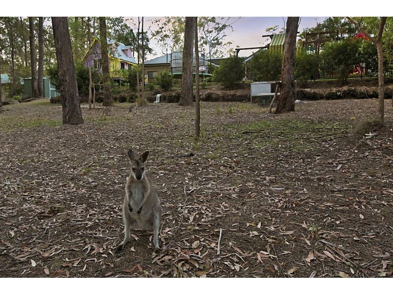 31-33 Wedgetail Crt, Mount Cotton QLD 4165