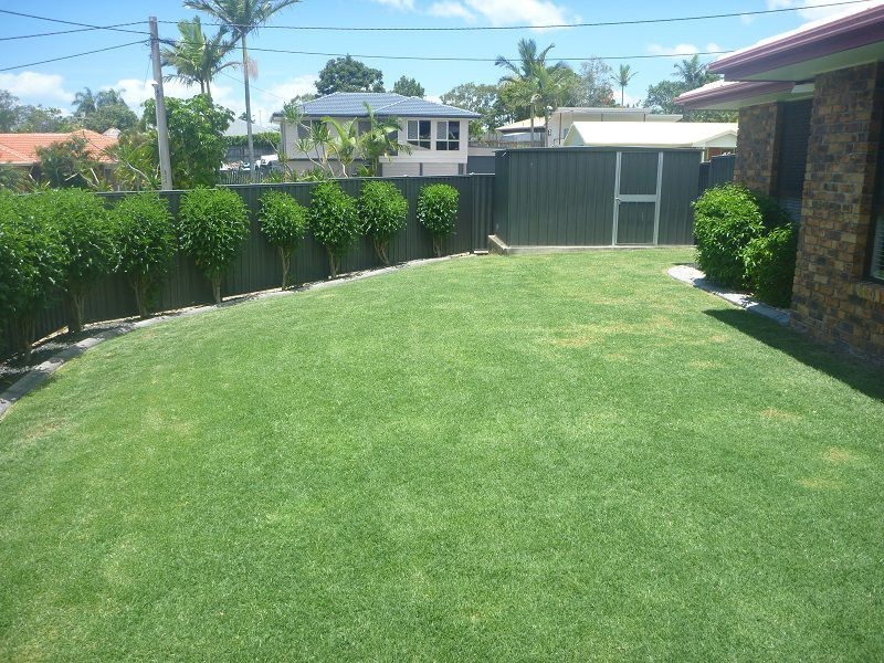 29 Orgorman St, Alexandra Hills QLD 4161