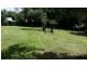 3 Balcombe Court, Alexandra Hills QLD 4161