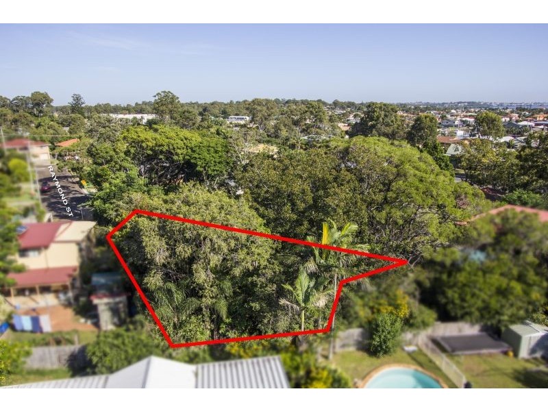 4 Raymond Street, Birkdale QLD 4159
