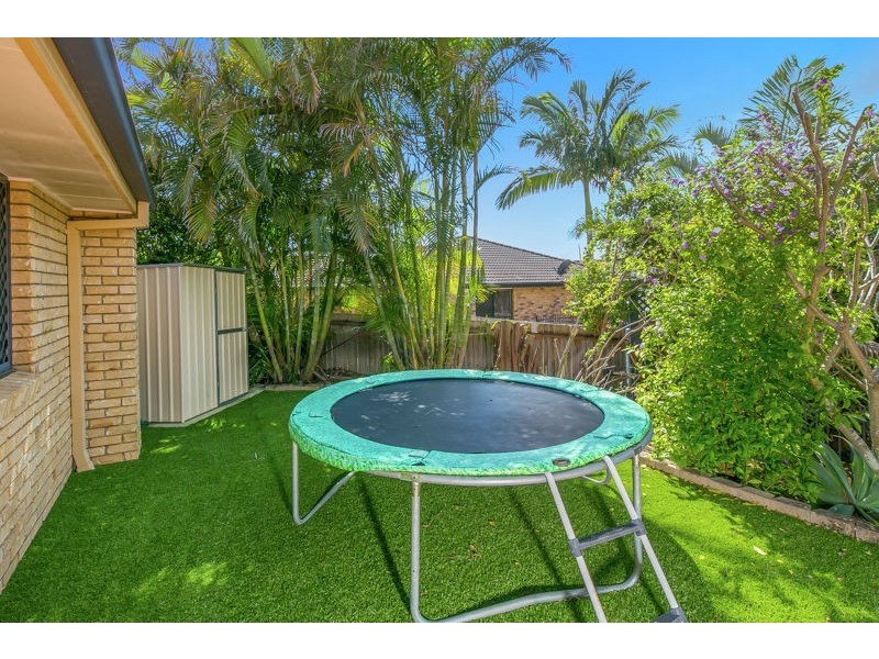 7 Echidna Court, Capalaba QLD 4157
