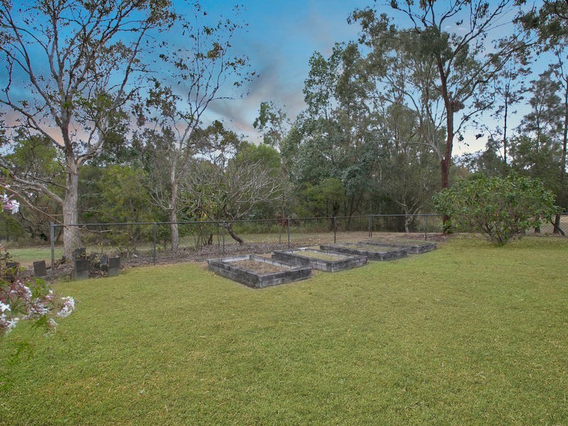 183 Agnew Street, Morningside QLD 4170