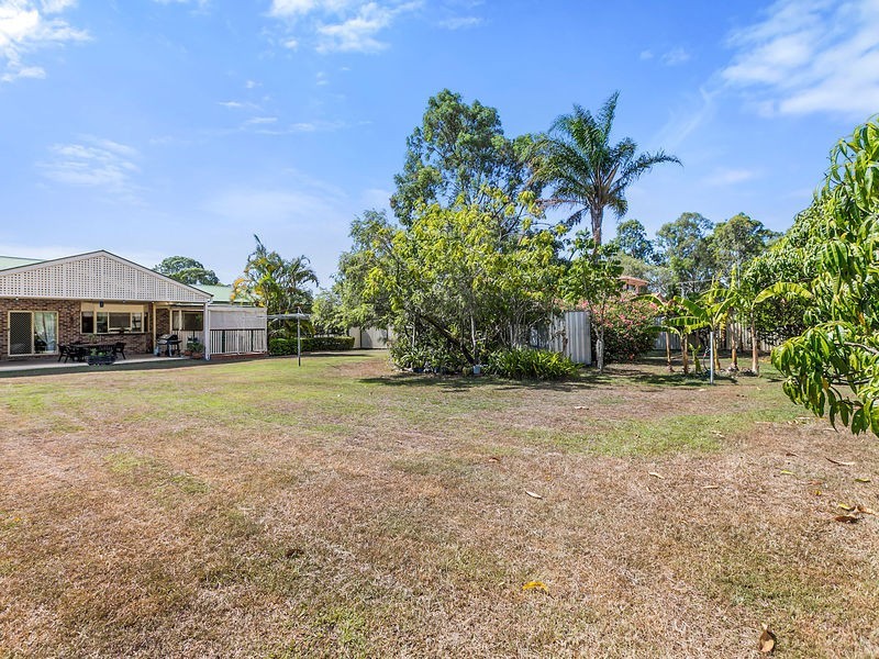 56 WHITEHALL AVE, Birkdale QLD 4159
