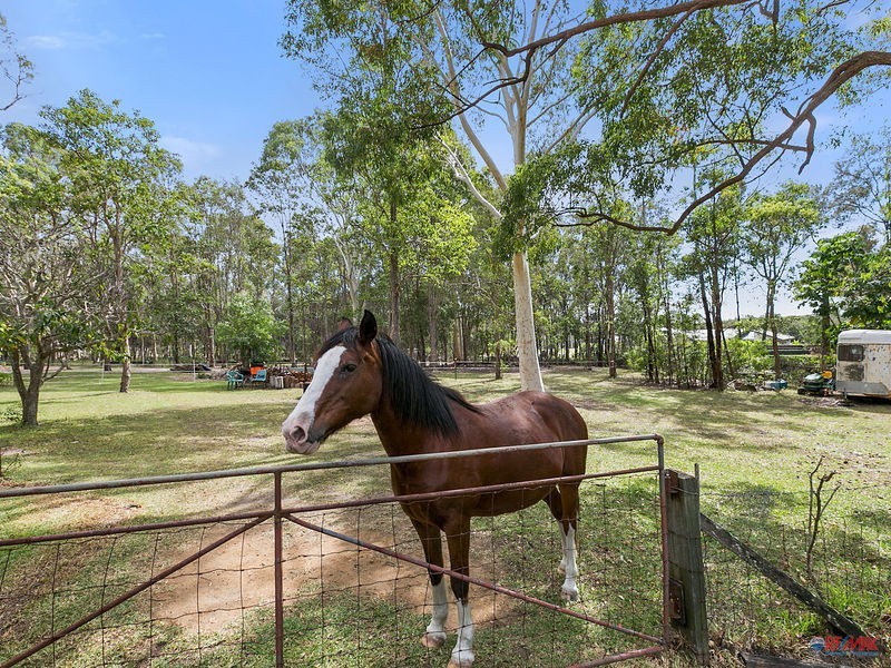 1740 Mt Gravatt-Capalaba Road, Chandler QLD 4155