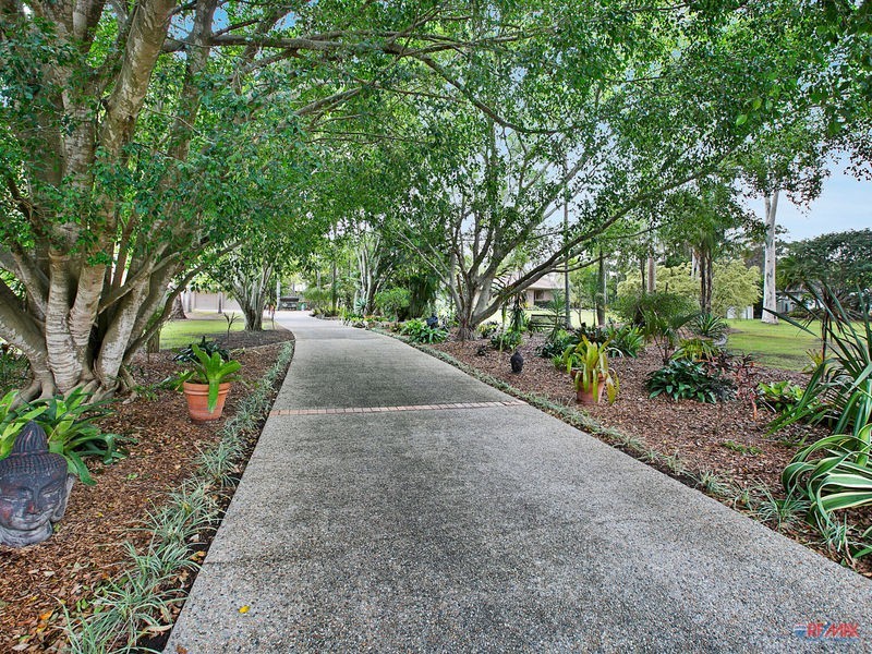 16 Tipuana Drive, Capalaba QLD 4157