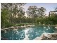 19 Tipuana Drive, Capalaba QLD 4157