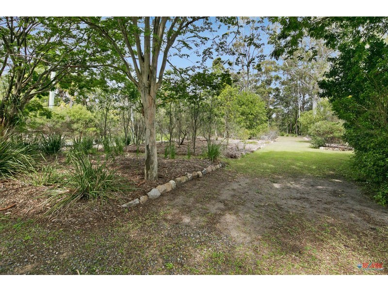 11 Tipuana Drive, Capalaba QLD 4157