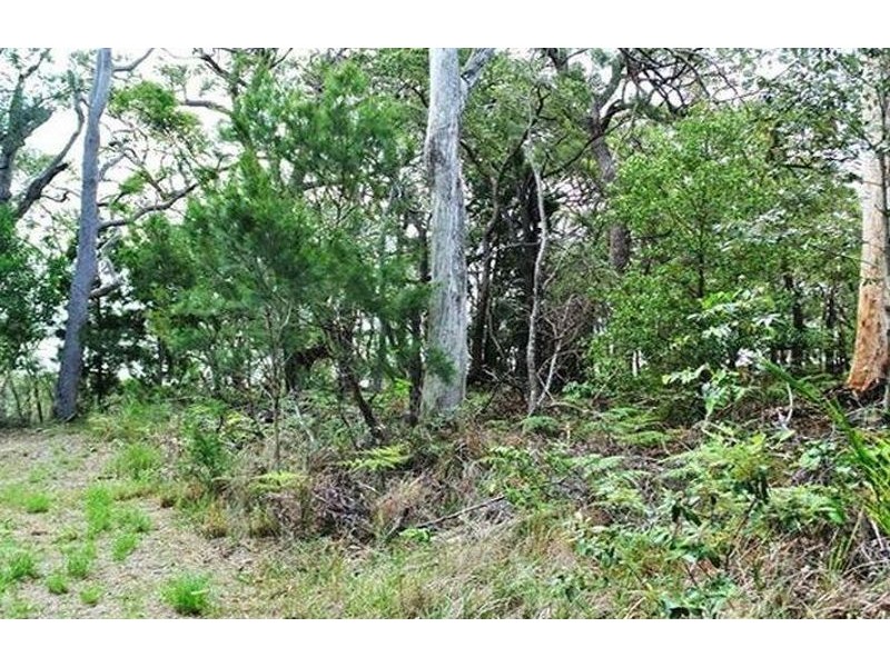 11 Coast Rd, Macleay Island QLD 4184