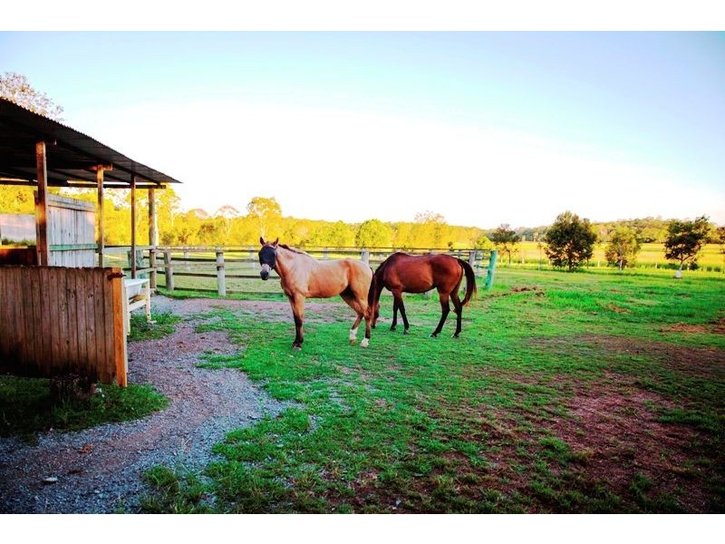 75 Browns Road, Kurwongbah QLD 4503