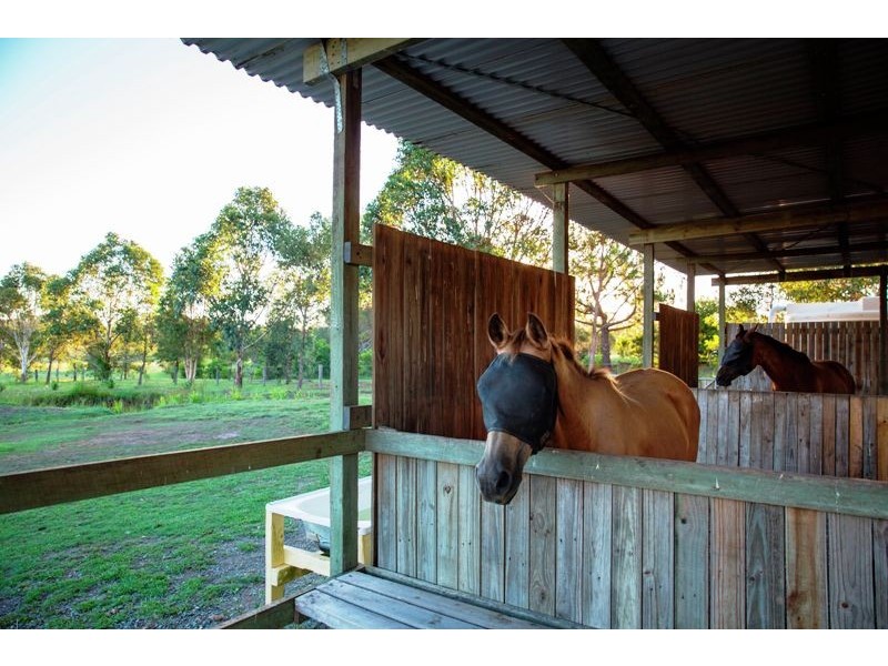 75 Browns Road, Kurwongbah QLD 4503