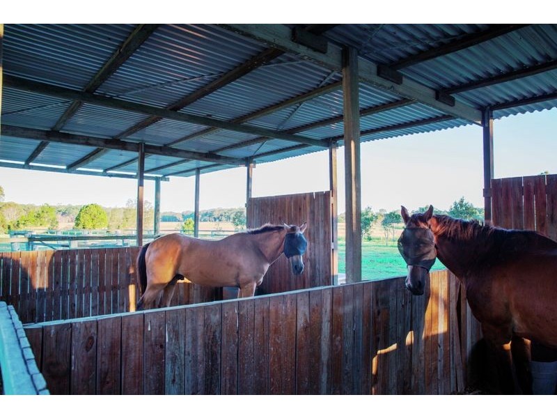 75 Browns Road, Kurwongbah QLD 4503