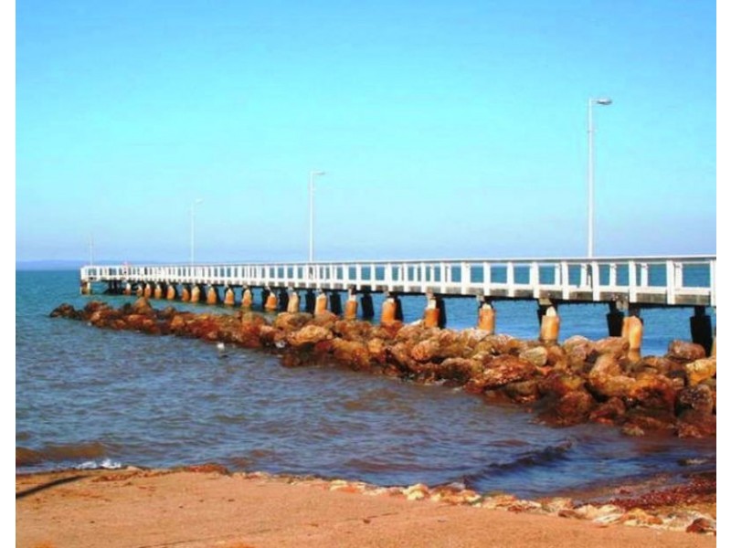 20 Christina St, Wellington Point QLD 4160