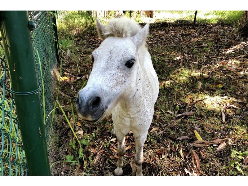 145 Panorama Drive, Thornlands QLD 4164