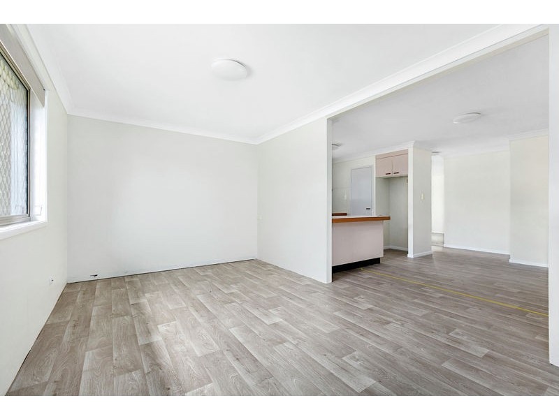 14 Estelle Street, Birkdale QLD 4159