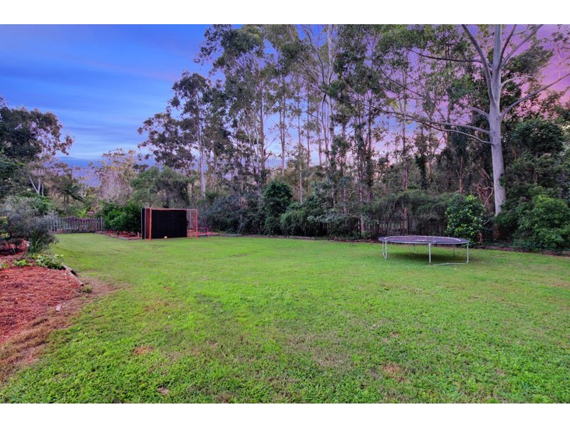 13 Tipuana Drive, Capalaba QLD 4157