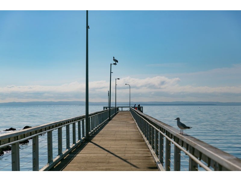 17 Musgrave Street, Wellington Point QLD 4160