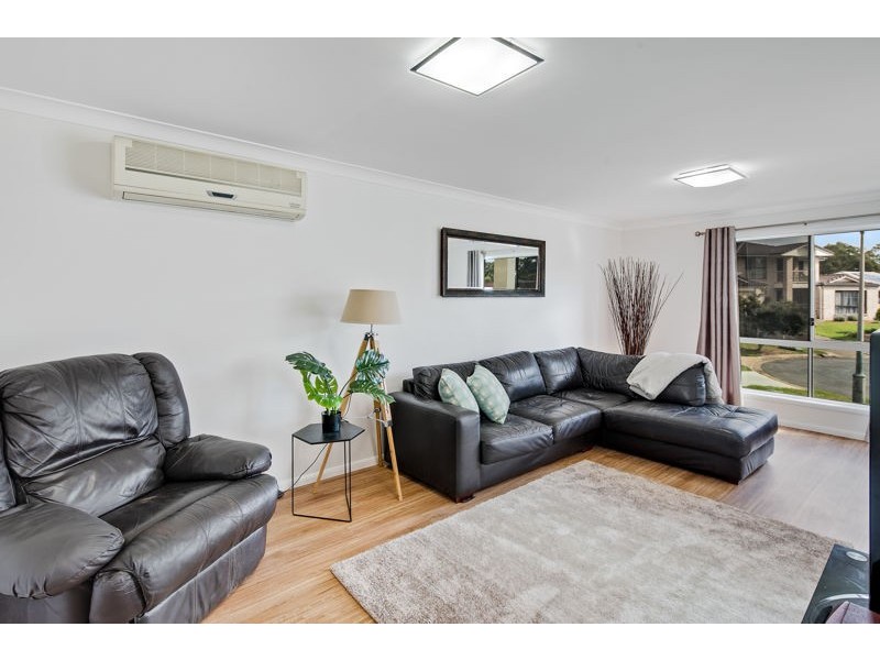 16 Walnut Court, Birkdale QLD 4159