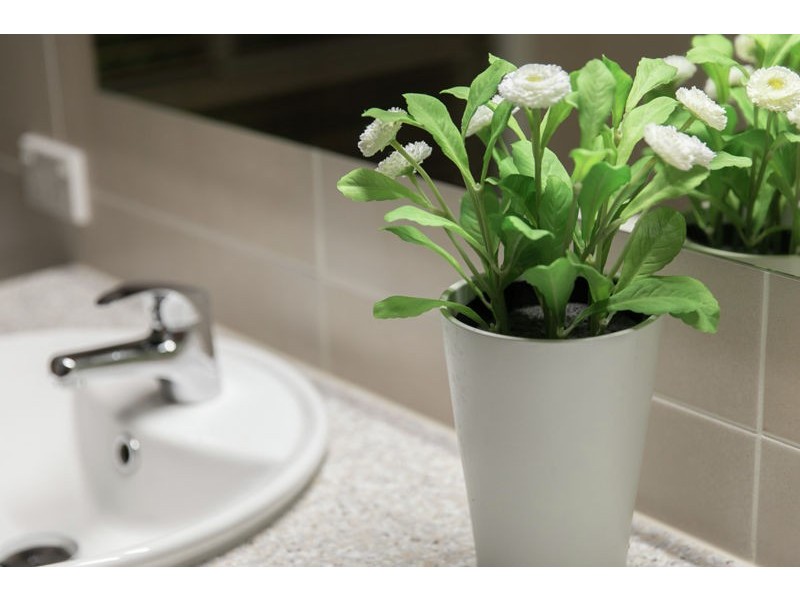 3 Drevesen Avenue, Cleveland QLD 4163