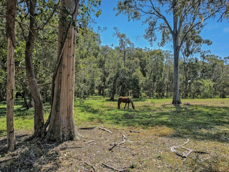 29-39 Springacre Road, Thornlands QLD 4164