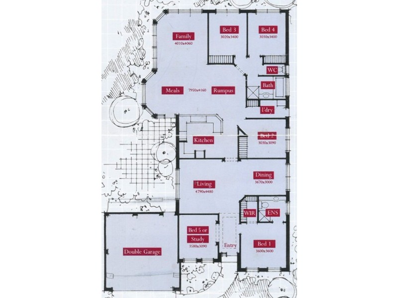 16 Kestrel Court, Victoria Point QLD 4165 Floorplan