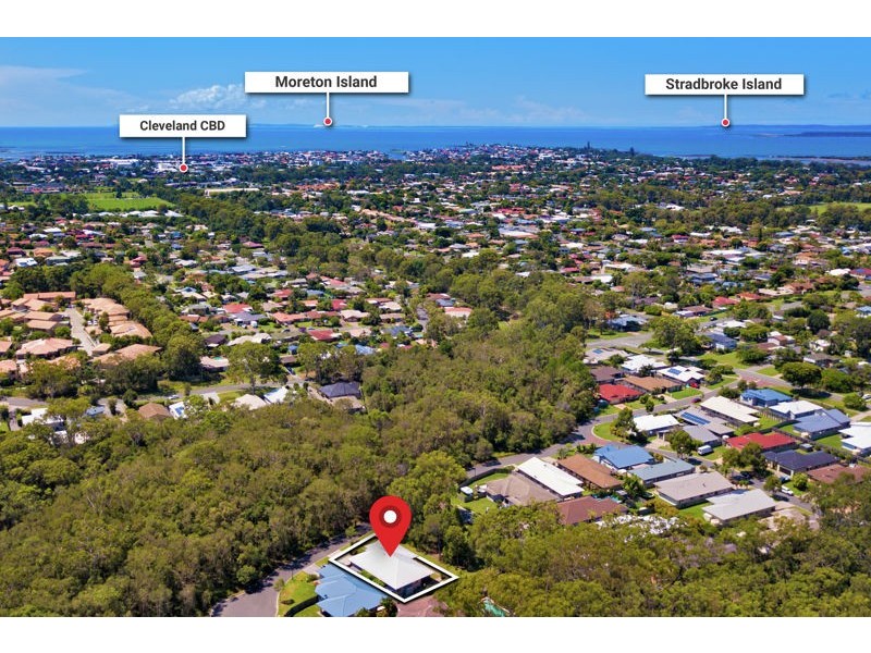 20 Jabiru Place, Cleveland QLD 4163