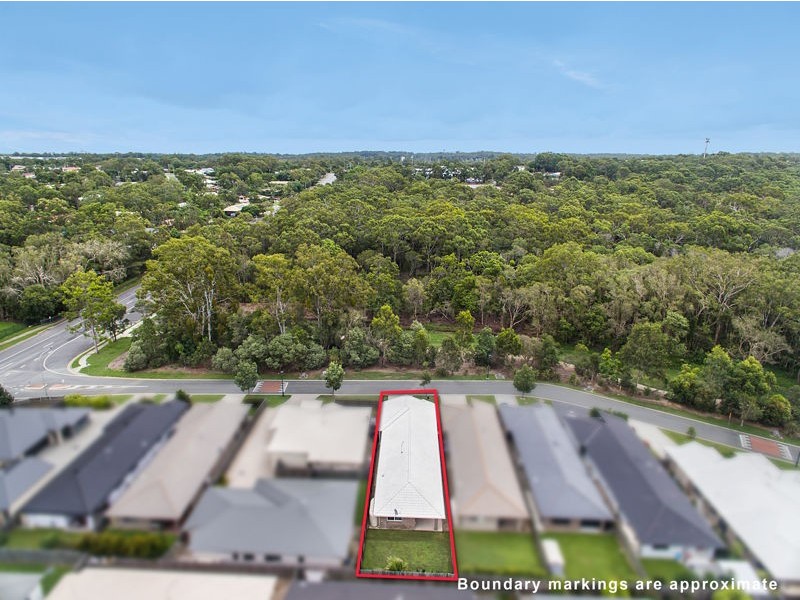 9 Riley Peter Place, Cleveland QLD 4163