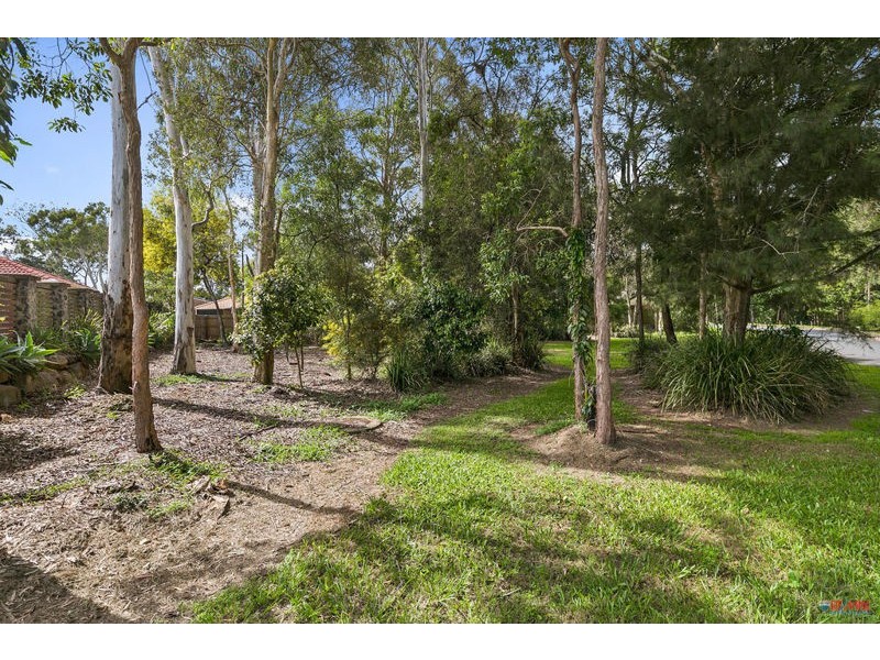 15 Adam Street, Cleveland QLD 4163