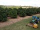 234 Heinemann Rd, Redland Bay QLD 4165