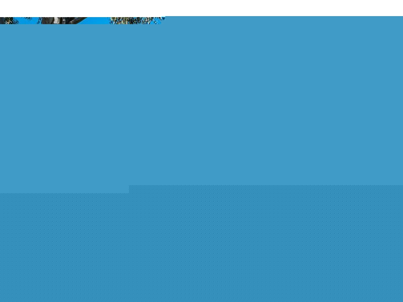 55 Hailey Drive, Birkdale QLD 4159