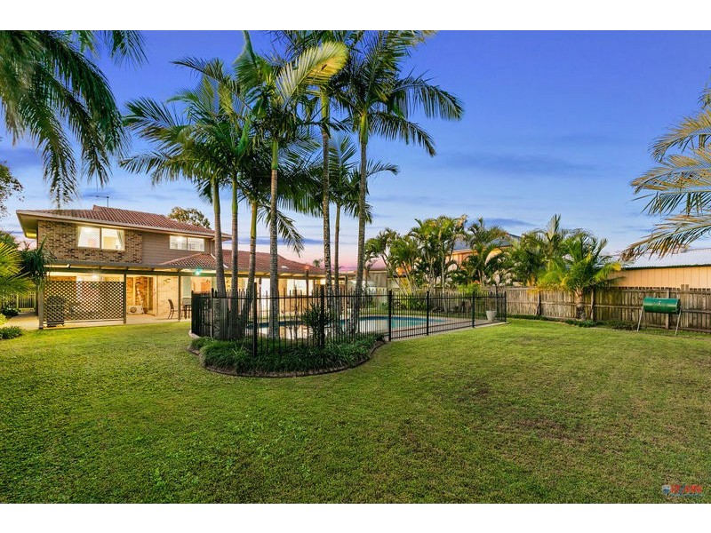 7 Swordfish Court, Birkdale QLD 4159