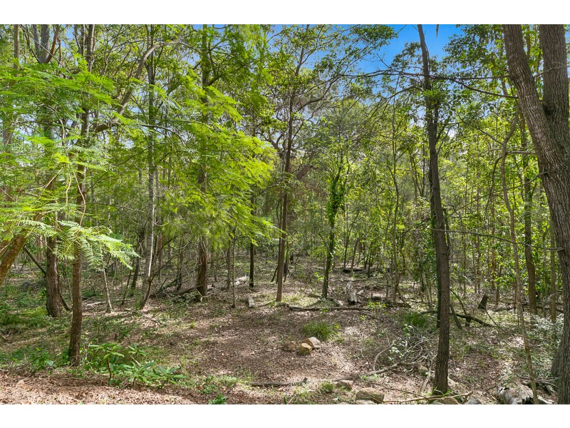29 Willowie Crescent, Capalaba QLD 4157