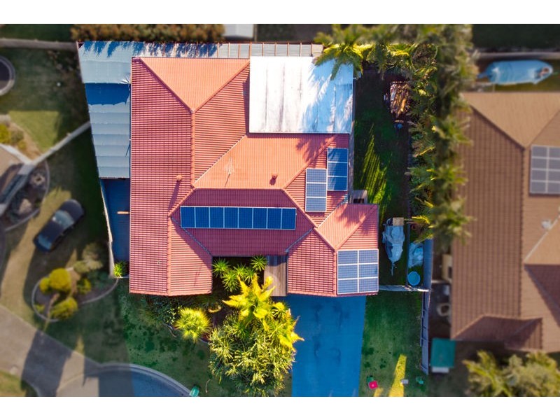 15 Walnut Court, Birkdale QLD 4159