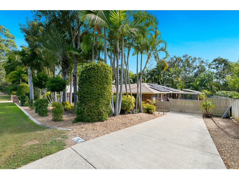 19 Lorikeet Dr, Thornlands QLD 4164