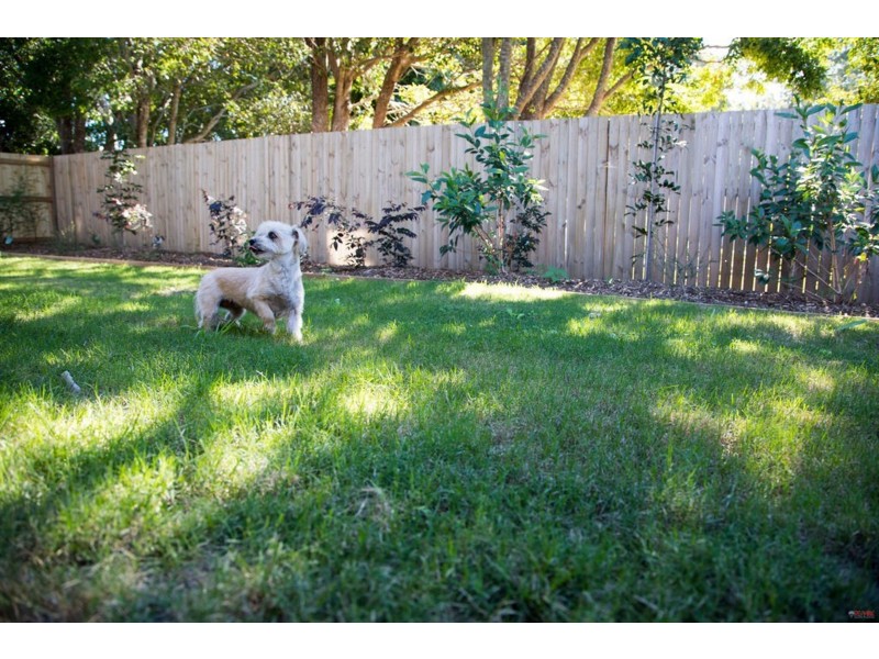 Unit 2 41-45 Benfer Road, Victoria Point, Victoria Point QLD 4165