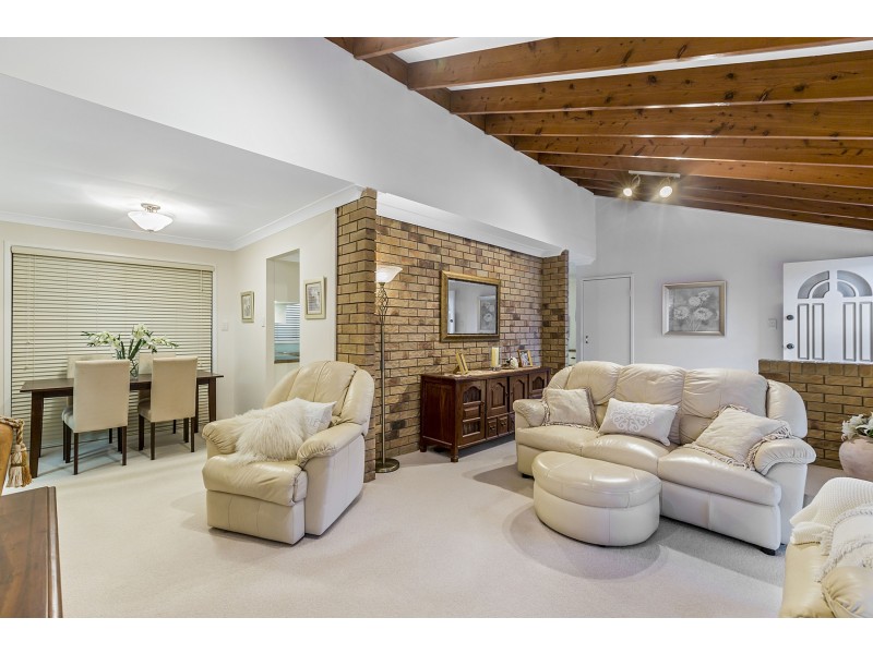 17 Muskwood Street, Capalaba QLD 4157