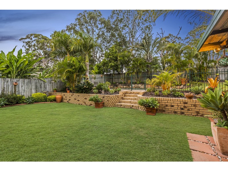 17 Muskwood Street, Capalaba QLD 4157