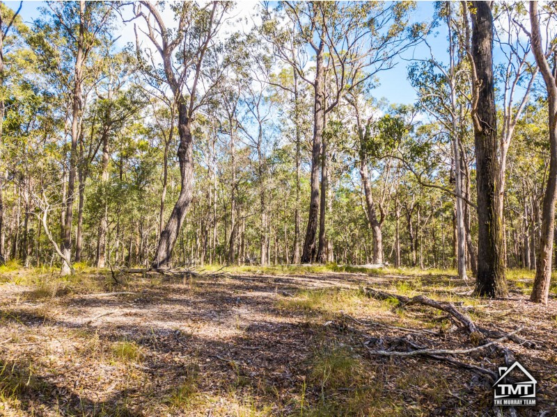 163 Henderson Road, Sheldon QLD 4157