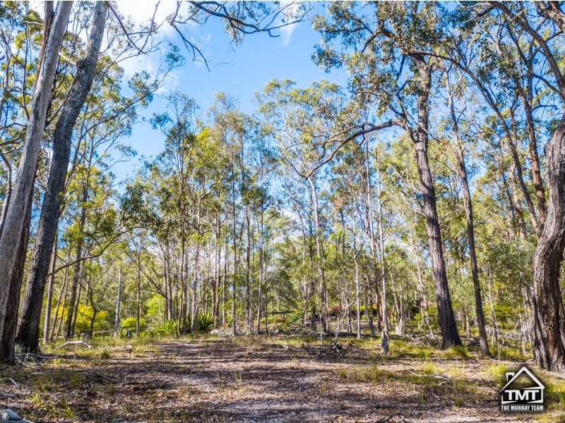 163 Henderson Road, Sheldon QLD 4157