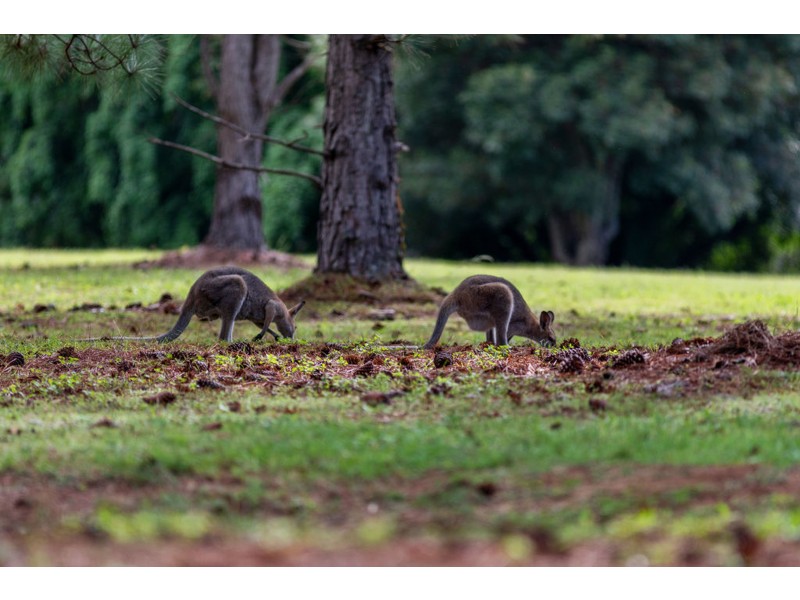 26 Wrights Place, Mount Cotton QLD 4165