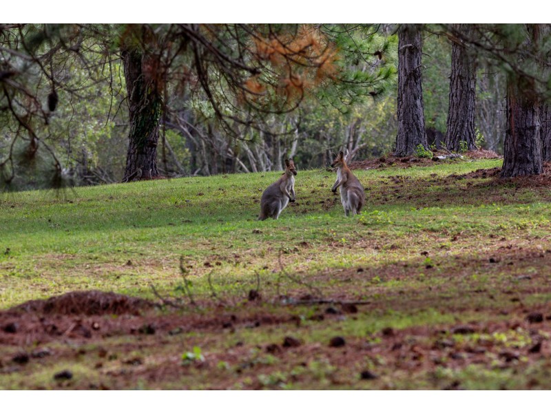 26 Wrights Place, Mount Cotton QLD 4165