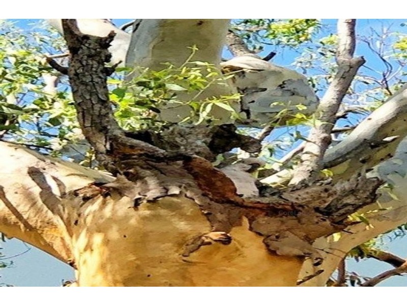 36 Victoria Pde South, Coochiemudlo Island QLD 4184