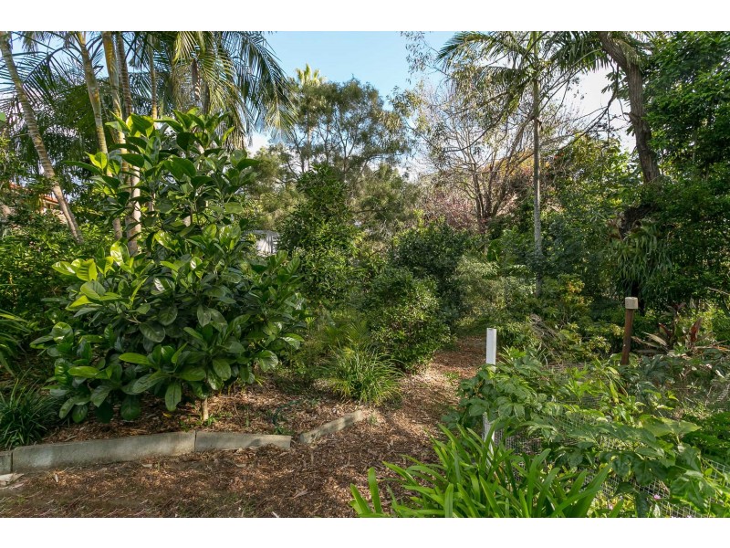31 Elmhurst Street, Capalaba QLD 4157