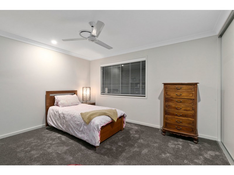 10 Shelduck St, Cleveland QLD 4163