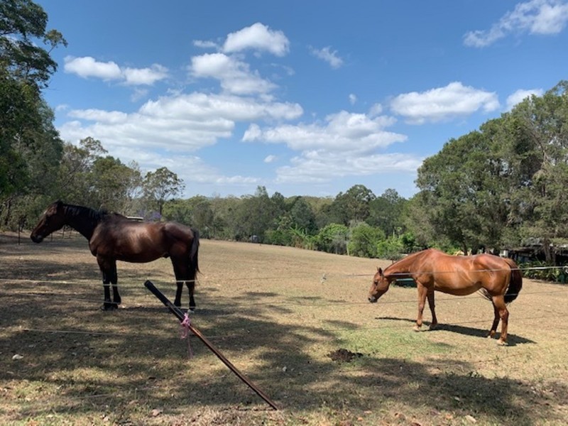 43-45 Boundary Road, Thornlands QLD 4164