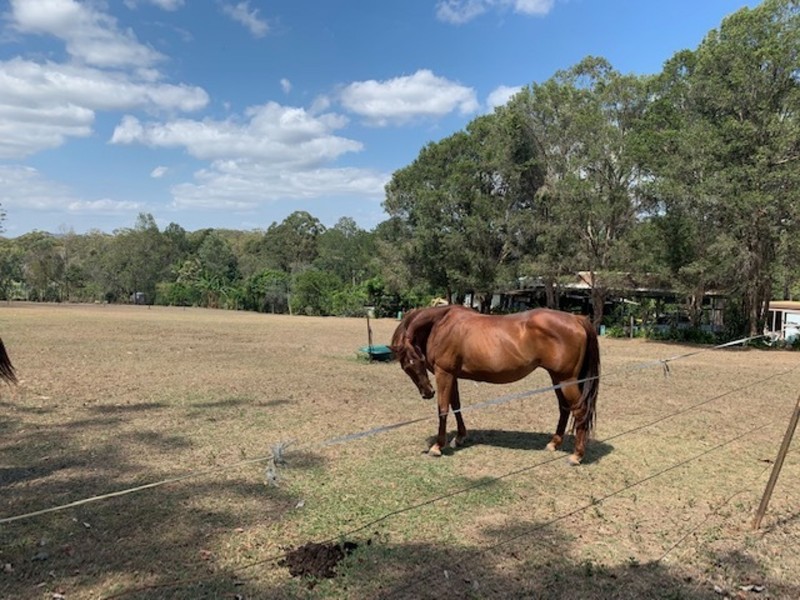 43-45 Boundary Road, Thornlands QLD 4164