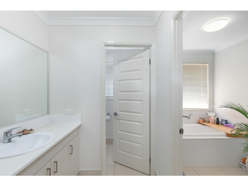 19 Parkgrove St, Birkdale QLD 4159