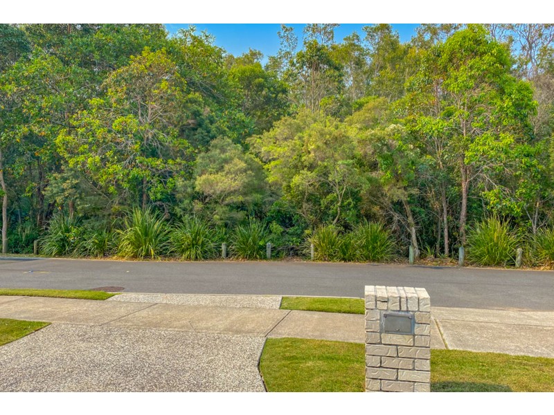 19 Parkgrove St, Birkdale QLD 4159